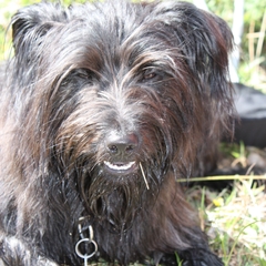 Urlaub im Allgäu (9)